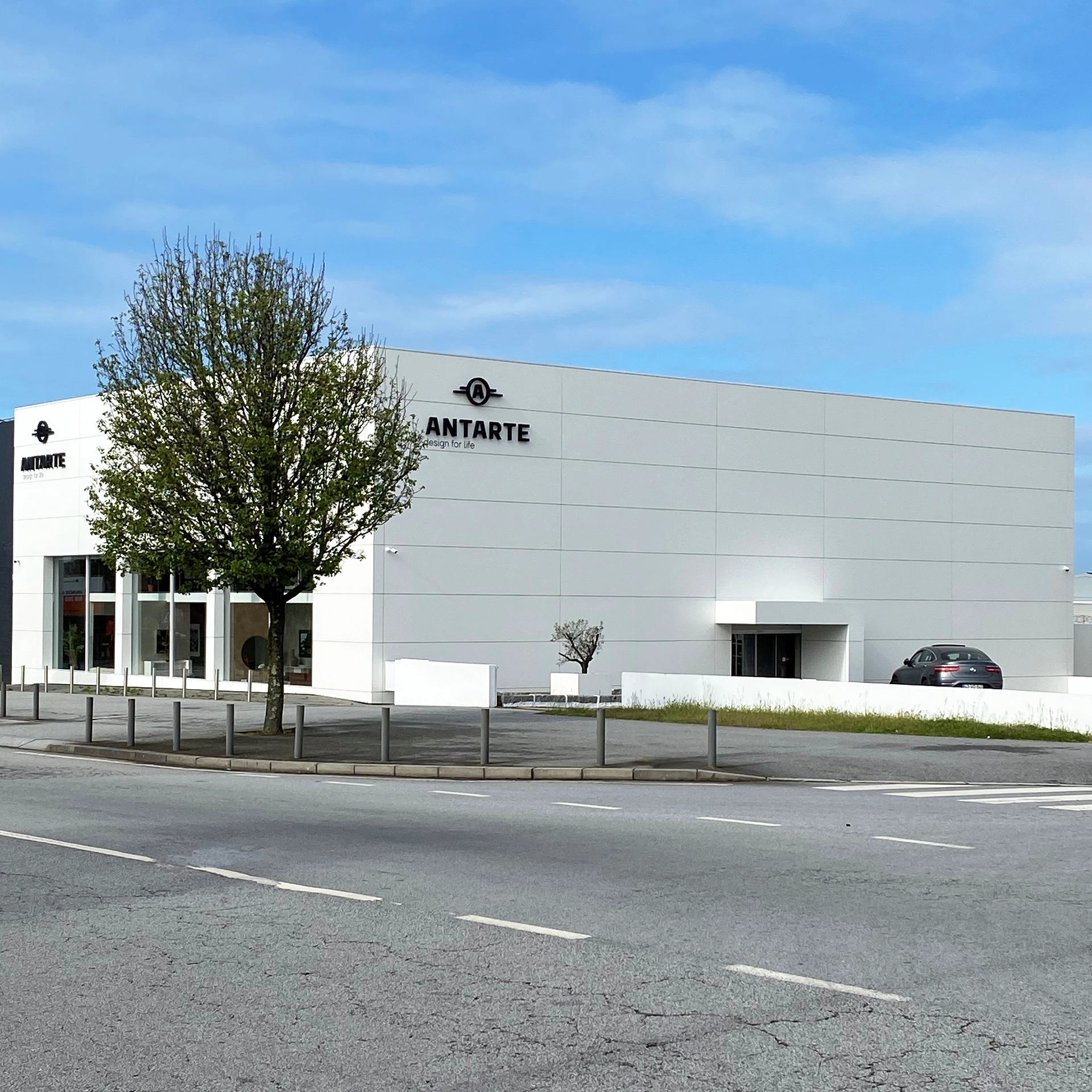 Antarte LEÇA DA PALMEIRA