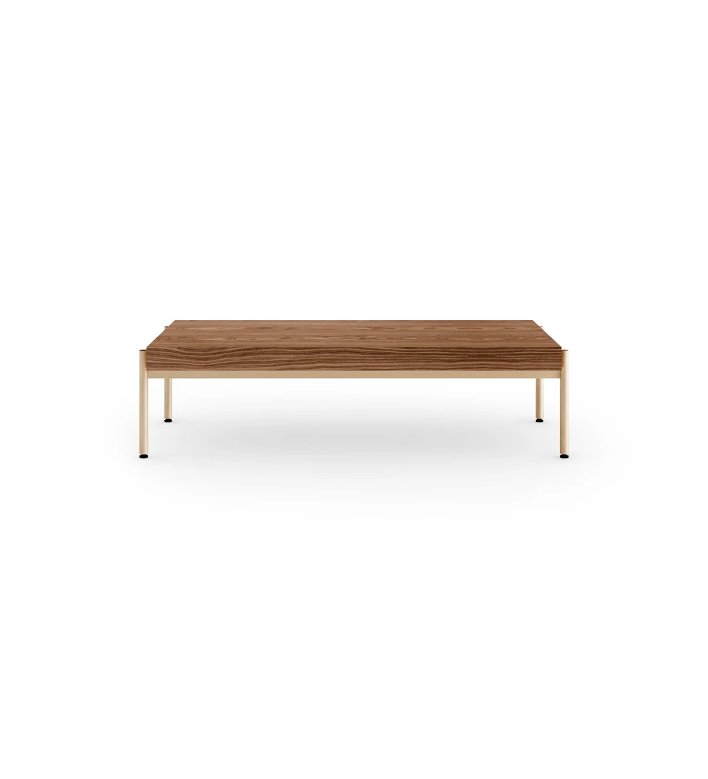 Cannes rectangular center table in walnut, gold lacquered feet with levelers, 120 x 60 cm.